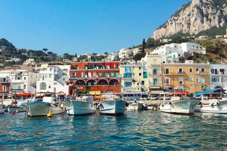Van Sorrento: privétour Capri & Anacapri inclusief veerboot