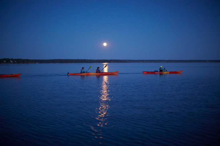 Sigiriya: Full Moon Night Kayaking Adventure