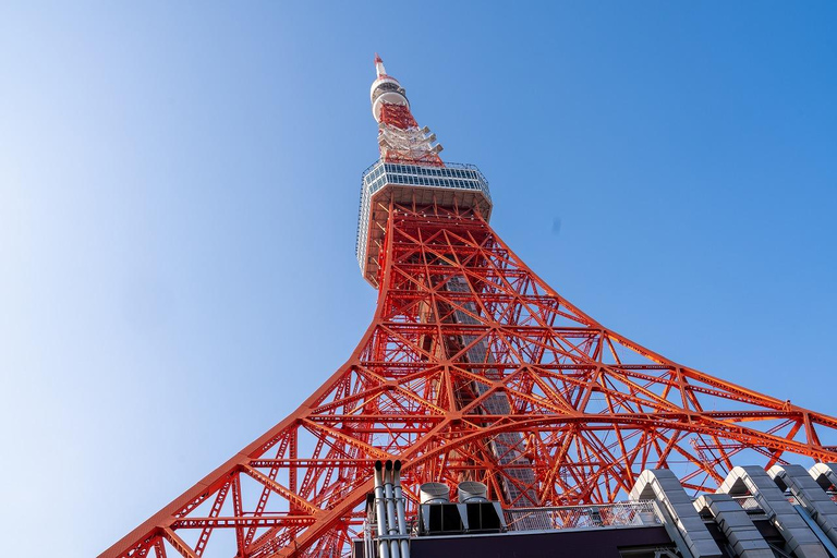 Tokyo: 1-dagars höjdpunkter med privat bil och guide