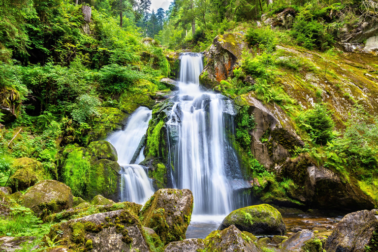 Tour privado: Zúrich a Titisee-Neustadt y cataratas del RinDesde Zúrich: viaje a Titisee-Neustadt y cataratas del Rin