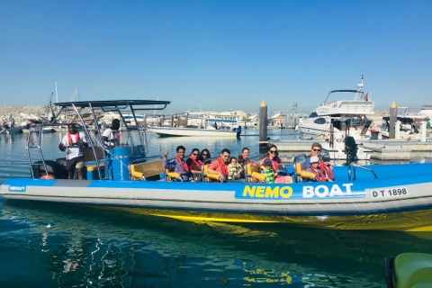 Dubai: hoogtepunten privé speedboottour door de stadRondleiding van 60 minuten