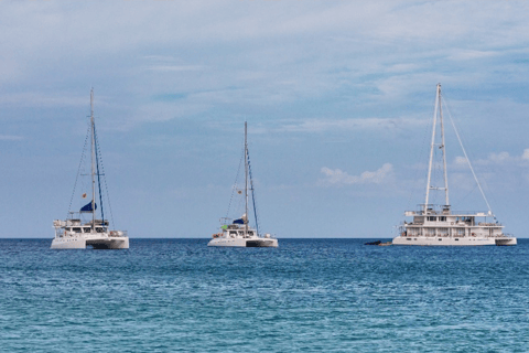 Mirissa : Observation des dauphins et des baleines en formule luxe tout compris