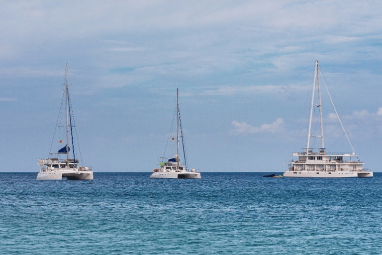 Mirissa : Observation des dauphins et des baleines en formule luxe tout compris