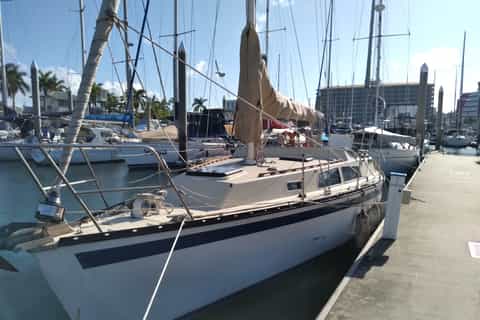 Townsville: Morning or Lunchtime Small-Group Sailing Trip