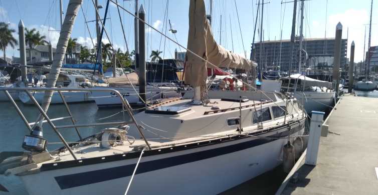 Townsville Morning or Lunchtime Small Group Sailing Trip GetYourGuide