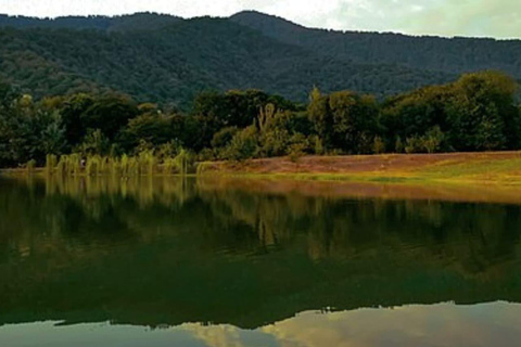 Balakan, Zagatala, Gakh, Sheki, Gabala, and Mingachevir.