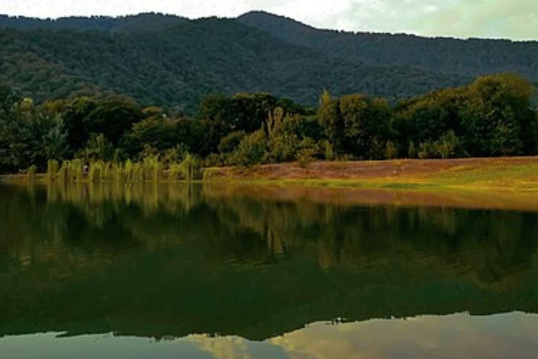 Balakan, Zagatala, Gakh, Sheki, Gabala, and Mingachevir.