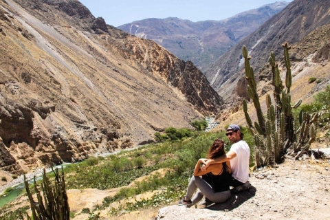 Tour de día completo del Cañón del Colca desde Arequipa
