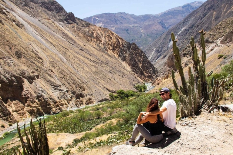 Ab Arequipa: Tagestour zum Colca CanyonAb Arequipa: Ganztägige Tour zum Colca Canyon