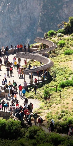 Ab Arequipa Tagestour Zum Colca Canyon Getyourguide