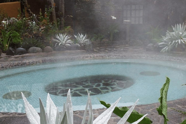 Quito: Papallacta hot springs in the middle of nature