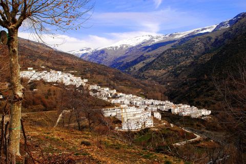 Granadasta: Päiväretki Trevéleziin kinkkutehtaan kanssa
