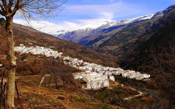 Ab Granada: Tagesausflug nach Trevélez mit Besuch der Schinkenfabrik