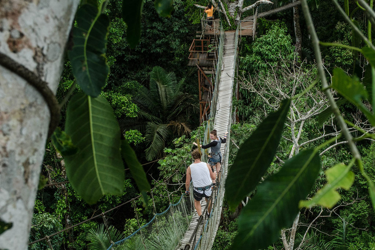 Puerto Maldonado: 2-Day Peruvian Tambopata Jungle TripAirport Pickup