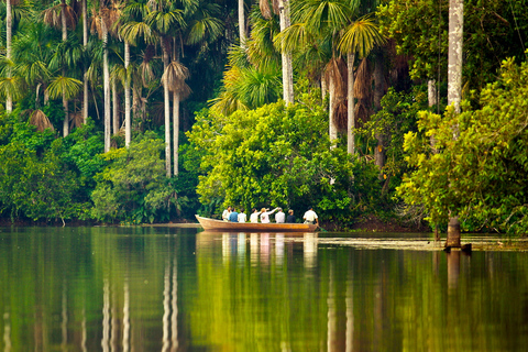 Puerto Maldonado: 2-Day Peruvian Tambopata Jungle TripAirport Pickup