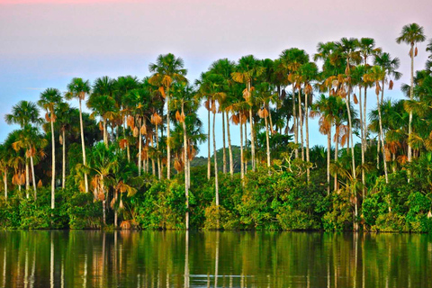 Puerto Maldonado: viaje a la selva peruana de TambopataRecogida en la estación de autobuses