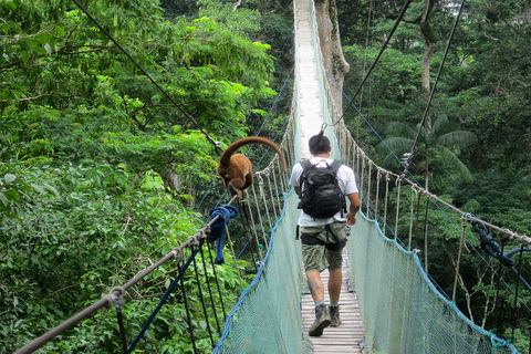 Puerto Maldonado: Peruaanse Tambopata Jungle TripOphalen bij busstation