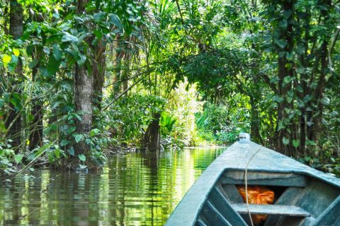 Puerto Maldonado: Dschungelreise durch den peruanischen Tambopata
