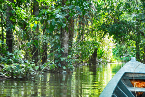 Puerto Maldonado: viaje a la selva peruana de TambopataRecogida en el aeropuerto