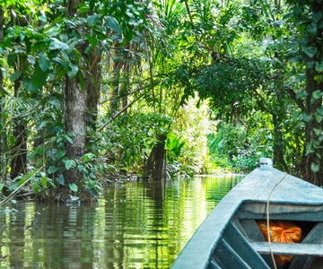 Puerto Maldonado: 2-Daagse Peruaanse Tambopata Jungle Trip