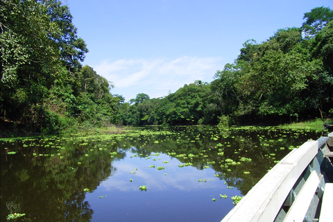 Puerto Maldonado: viaje a la selva peruana de TambopataRecogida en la estación de autobuses