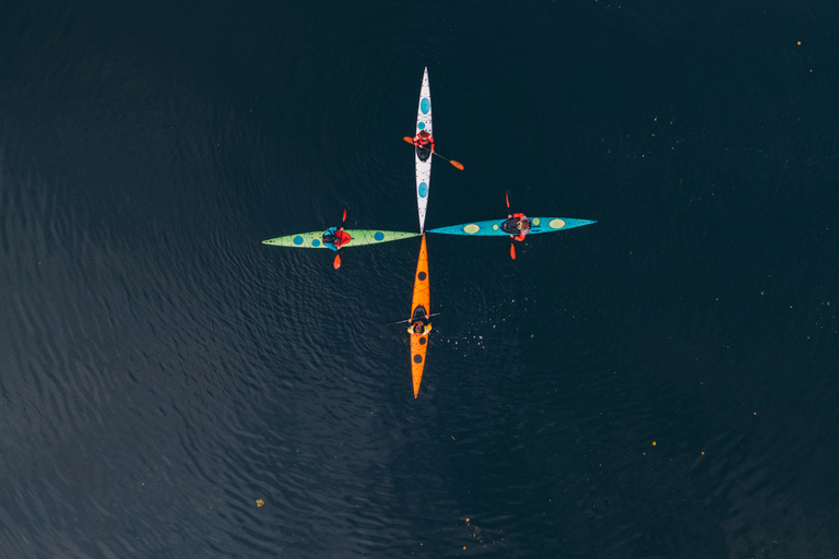 Stockholm: Vinterkajakpaddling, svensk fika och varm bastuKajaktur på vintern