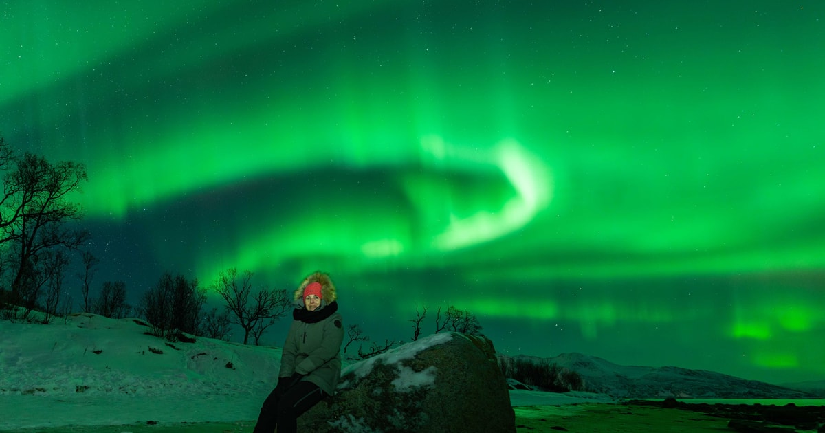 Tromsø: Aurora tour with Campfire and proffessional Photos | GetYourGuide