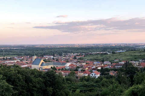 Från Bratislava: Ekologisk vinprovning i Svaty Jur: Från Bratislava: Ekologisk vinprovning i Svaty JurPrivat tur med hämtning och lämning på hotellet