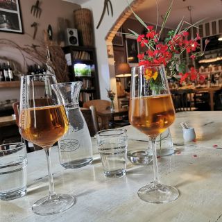 Da Bratislava: degustazione di vini biologici a Svaty Jur