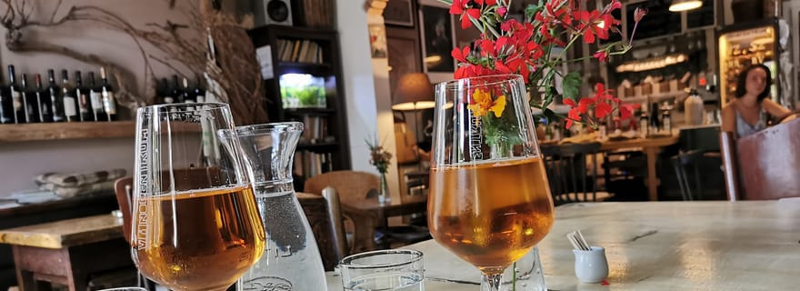 De Bratislava : Dégustation de vins biologiques à Svaty Jur