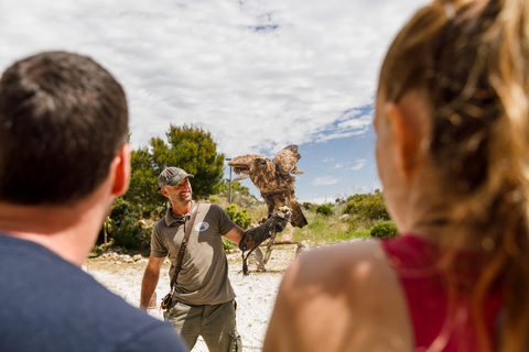 Benalmádena: kabelbaanticket naar Mount CalamorroRetourticket