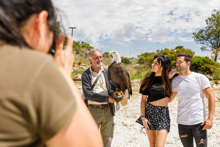 Benalmádena: kabelbaanticket naar Mount CalamorroRetourticket