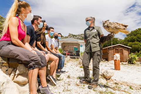 Benalmádena: kabelbaanticket naar Mount CalamorroRetourticket