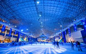 Chicago: Navy Pier "Light Up the Lake" Holiday Experience