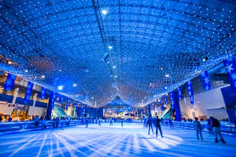 Chicago: Navy Pier "Light Up the Lake" Holiday Experience