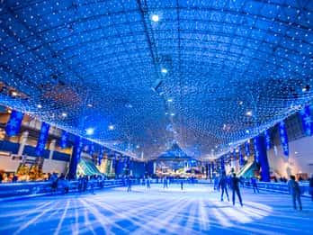 Chicago: Navy Pier "Light Up the Lake" Urlaubserlebnis Chicago: Navy Pier "Light Up the Lake" Urlaubserlebnis