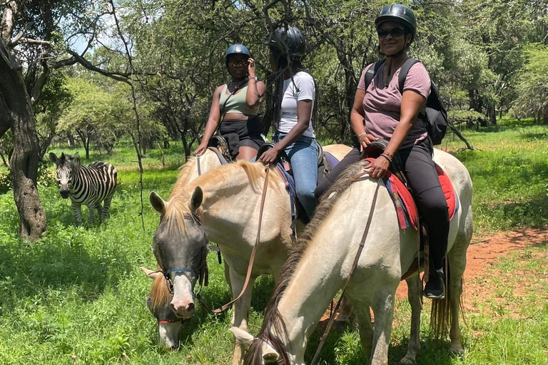 JOHANNESBURGO: Aventura a caballo y en quad