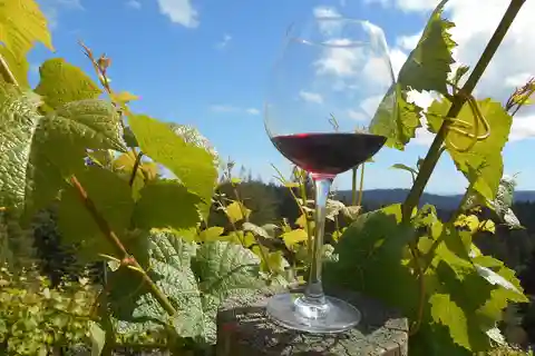Carmel Valley Wine Tasting Tour