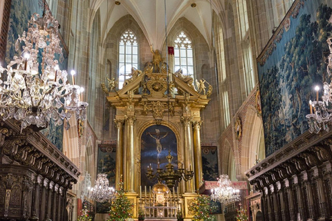 Tour guiado pelo Castelo e Catedral de Wawel em CracóviaTurnê alemã