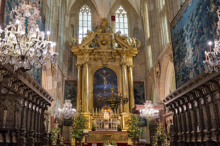 Tour guiado pelo Castelo e Catedral de Wawel em CracóviaTour polonês