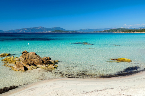 Da Porticcio: tour in motoscafo alla spiaggia di Cupabia con soste