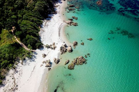 Von Porticcio: Schnellboottour zum Strand von Cupabia mit Zwischenstopps