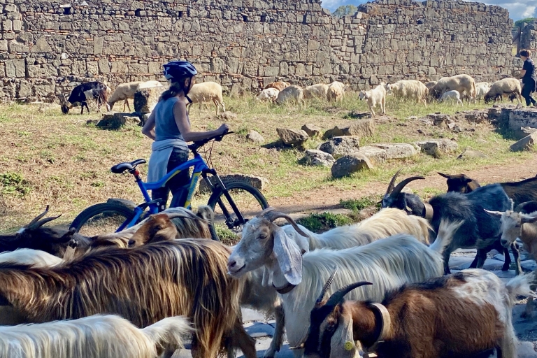 Rome: e-bike-tour door de Via Appia Antica