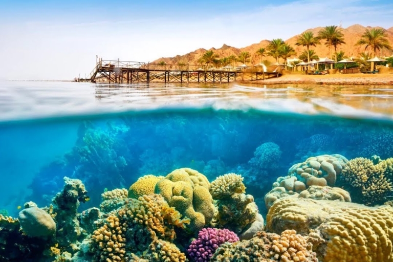 Sharm El-Sheikh: White Island & Ras Mohammed Snorkel Trip Egypt: White Island & Ras Mohammed Snorkeling and Boat Trip