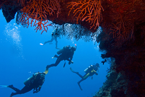 Sharm El-Sheikh : White Island &amp; Ras Mohammed Snorkel TripExcursion en bateau avec équipement de plongée en apnée