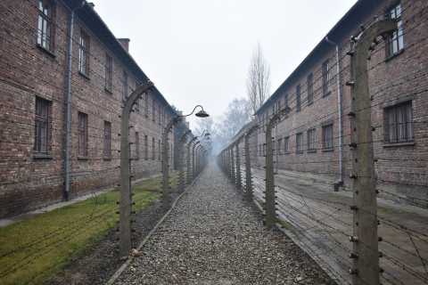 De Cracóvia: Visita e Transporte a Auschwitz-Birkenau