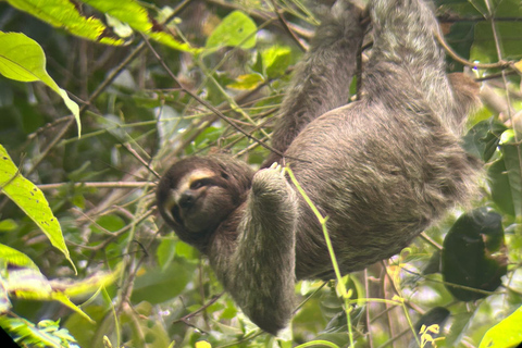 Z San José do Parku Narodowego Manuel Antonio - wycieczka z przewodnikiem