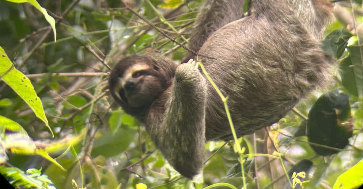 From San José To Manuel Antonio national Park Guided tour
