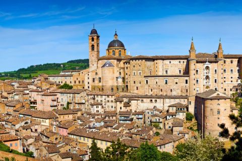 Urbino: Privater Rundgang mit Ticket für den Herzogspalast