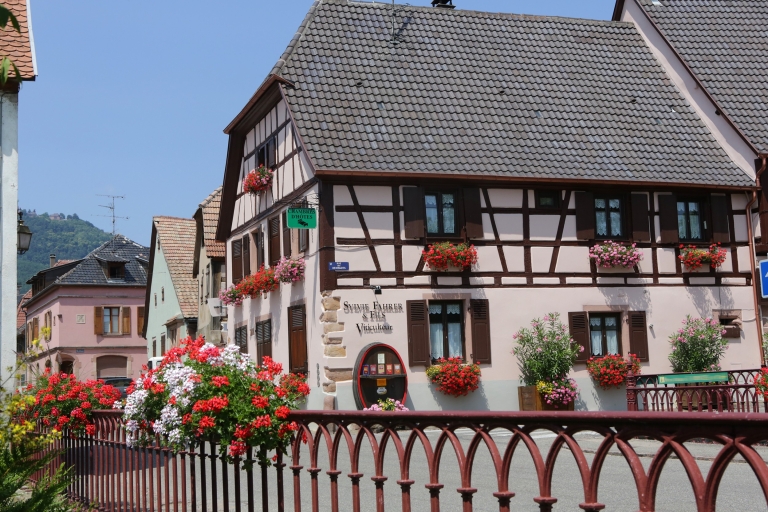 Alsace : Visite des vignobles et dégustation